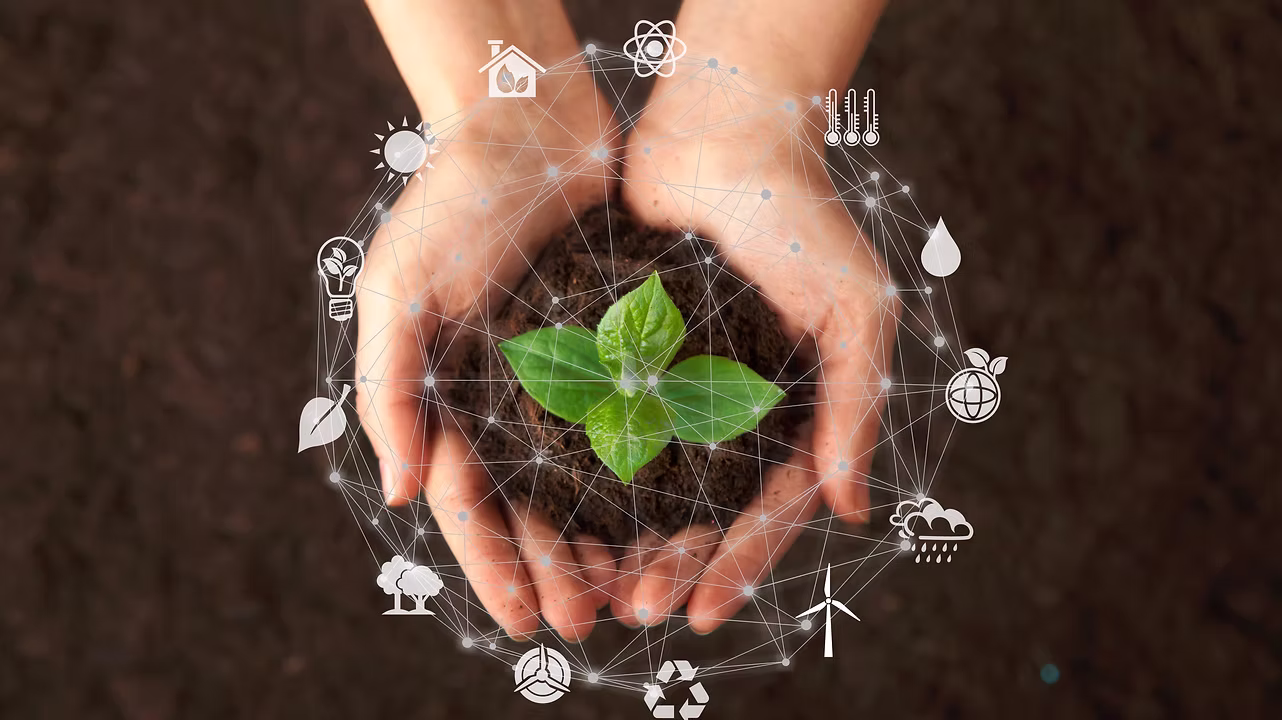 Assessoria  Ambiental